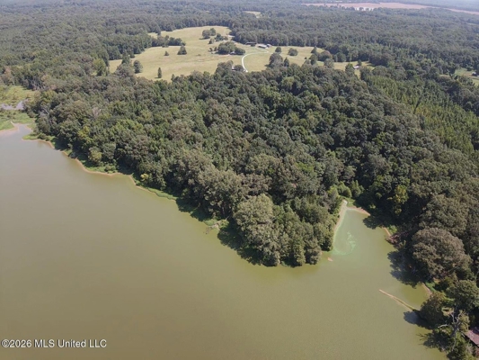 81-Acre Timber Property on 20-Acre Lake in Vaughan, Mississippi