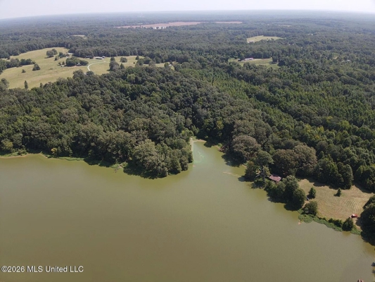 81-Acre Timber Property on 20-Acre Lake in Vaughan, Mississippi