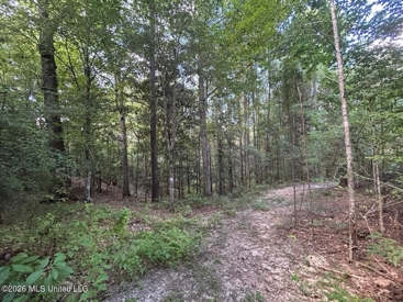 Listing 186