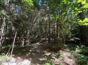 Listing 186