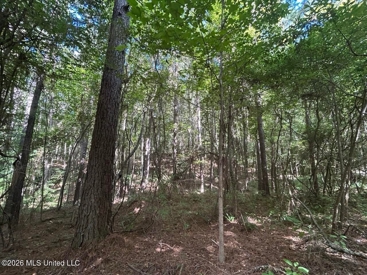 Listing 186