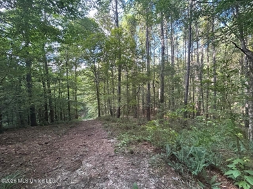 Listing 186