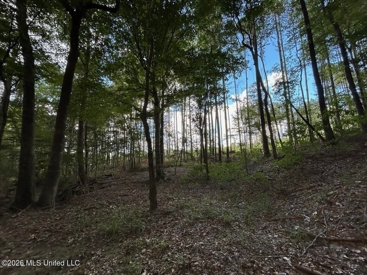 Listing 186