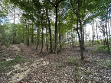 Listing 186
