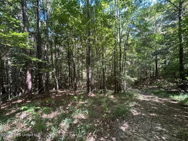 Listing 186
