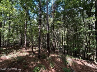 Listing 186
