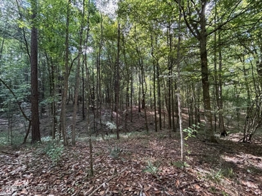 Listing 186