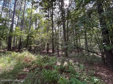 Listing 186