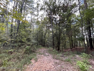 Listing 186