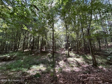Listing 186