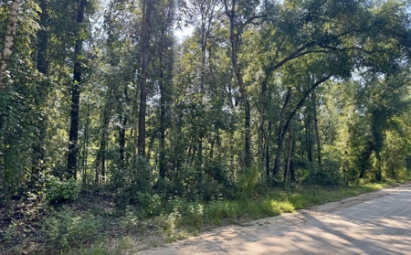 Rare Suwannee Riverfront Retreat - 4 Acres In Jasper, FL - image 4