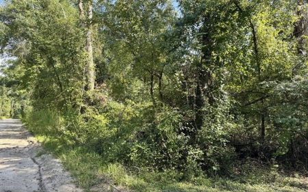 Rare Suwannee Riverfront Retreat - 4 Acres In Jasper, FL - image 5