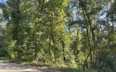 Rare Suwannee Riverfront Retreat - 4 Acres In Jasper, FL - image 3