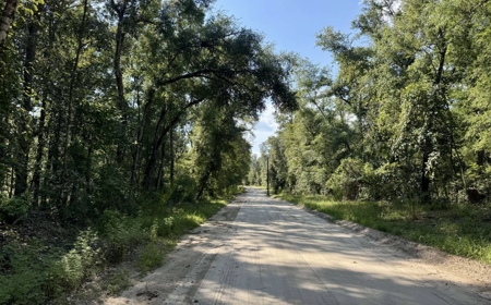 Rare Suwannee Riverfront Retreat - 4 Acres In Jasper, FL - image 8