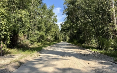 Rare Suwannee Riverfront Retreat - 4 Acres In Jasper, FL - image 9