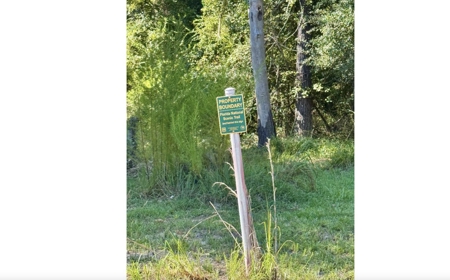 Rare Suwannee Riverfront Retreat - 4 Acres In Jasper, FL - image 12