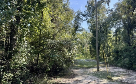 Rare Suwannee Riverfront Retreat - 4 Acres In Jasper, FL - image 7