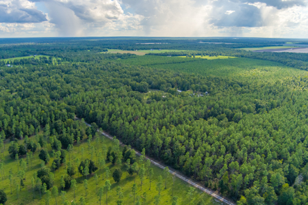 North Florida Luxury Lifestyle on 40 Acres For Sale in Jasper, FL - image 48