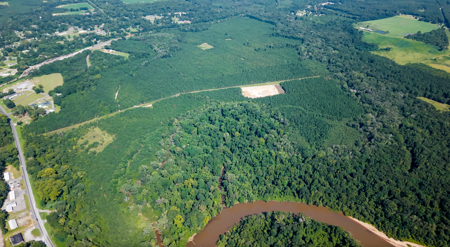 224.56 Acres | Prime Hunting Land | Oglethorpe, Ga - image 5