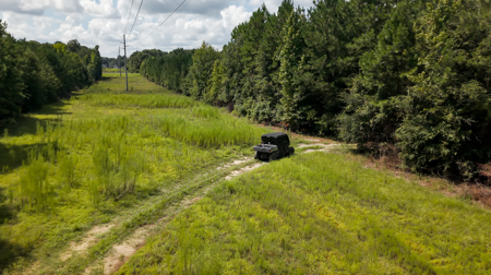 224.56 Acres | Prime Hunting Land | Oglethorpe, Ga - image 14