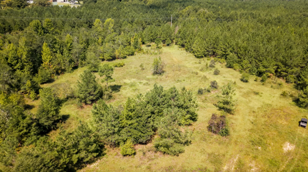 224.56 Acres | Prime Hunting Land | Oglethorpe, Ga - image 8