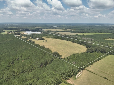80-Acre Private Country Estate for Sale in Clio, Al - image 49
