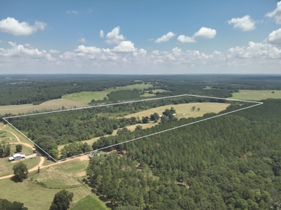 80-Acre Private Country Estate for Sale in Clio, Al - image 2