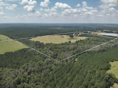 80-Acre Private Country Estate for Sale in Clio, Al - image 50