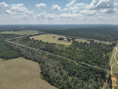 80-Acre Private Country Estate for Sale in Clio, Al - image 48