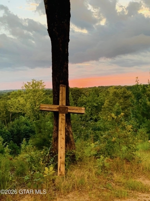 Old Mountain Park — 23.8 Acres in Winona, Mississippi