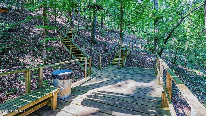 Old Mountain Park — 23.8 Acres in Winona, Mississippi
