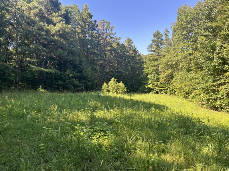 No Caption
