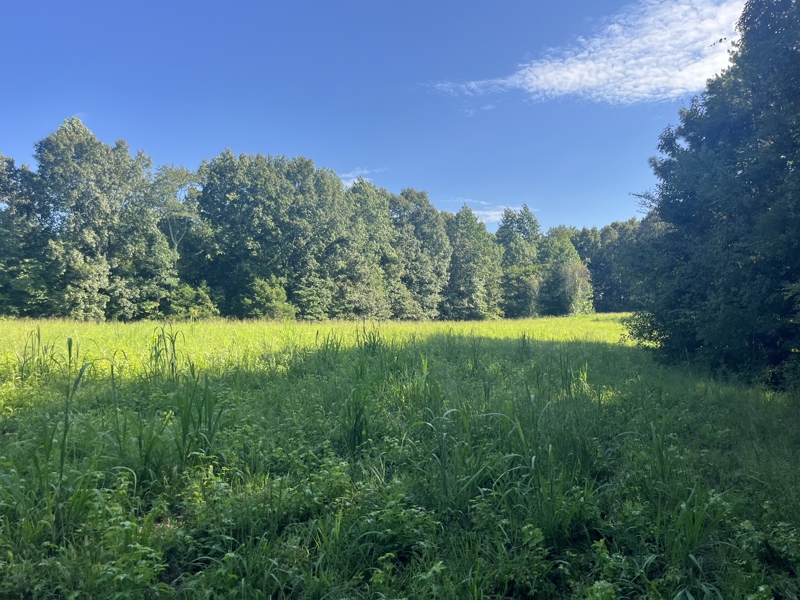 No Caption