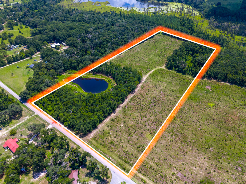 No Caption