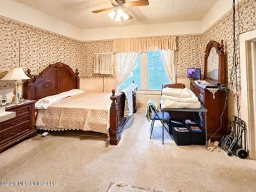 Listing 227
