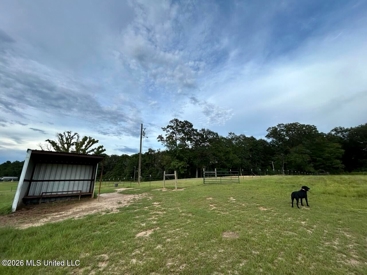 Listing 203