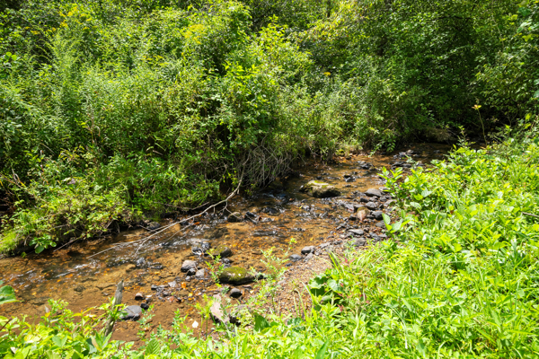 Mountain Retreat with Creek Frontage for Sale in Willis VA