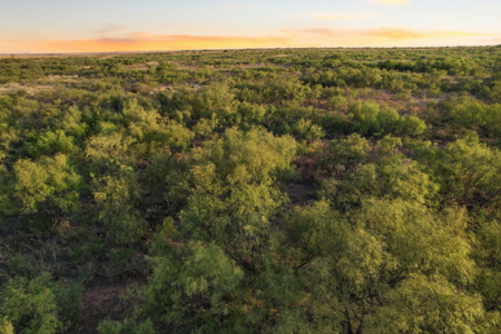 320 Acres Hunting /Ranch Property in SW Oklahoma - image 8