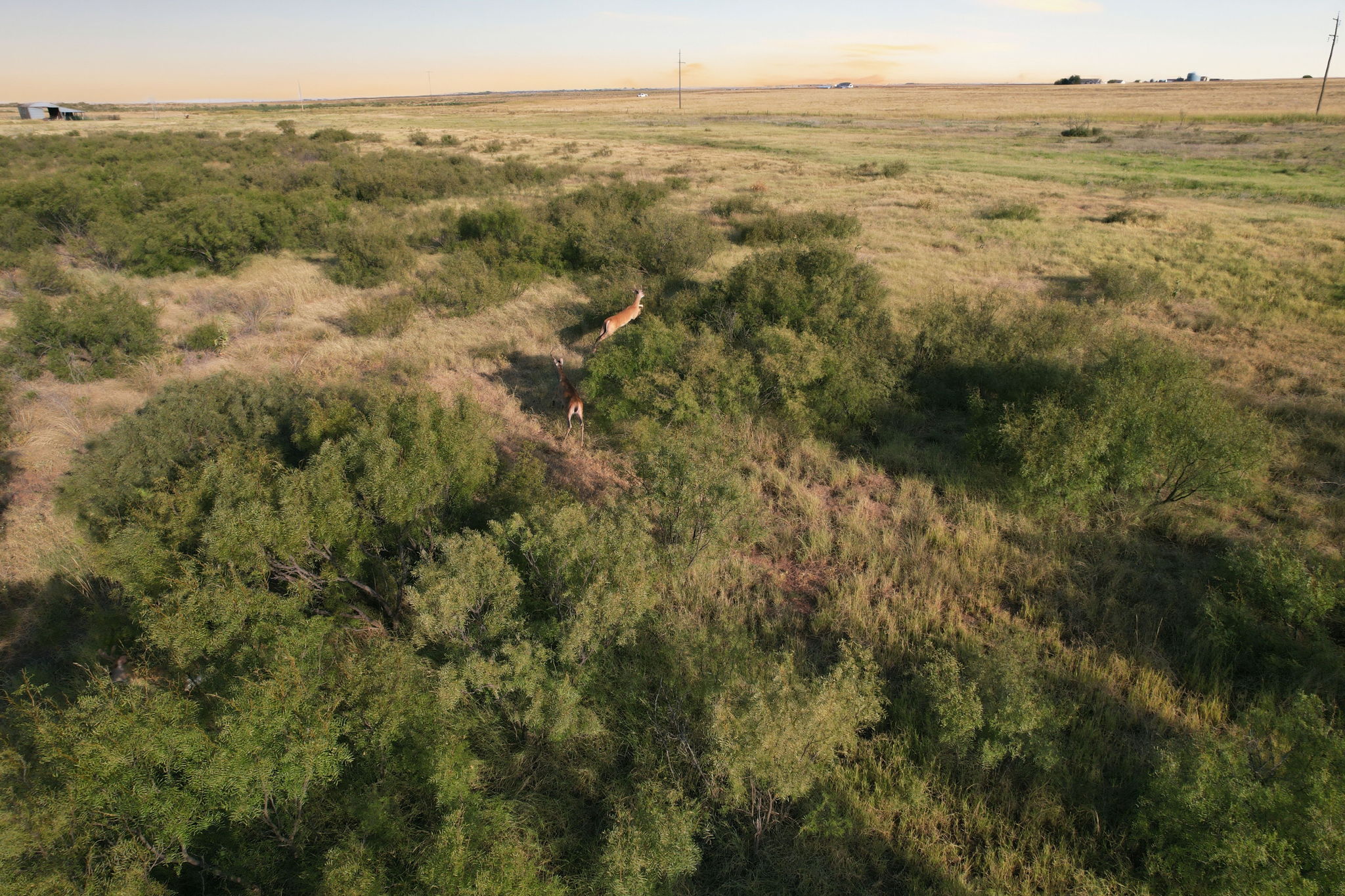 320 ACRES OF HUNTING AND GRAZING LAND