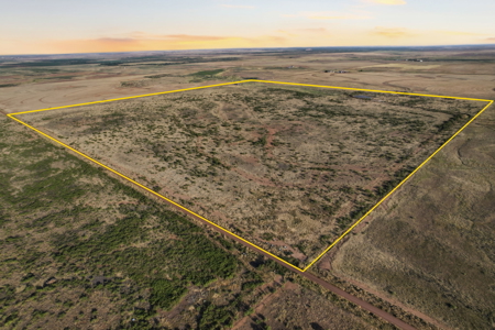 320 Acres Hunting /Ranch Property in SW Oklahoma - image 44