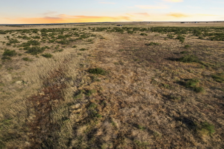 320 Acres Hunting /Ranch Property in SW Oklahoma - image 25