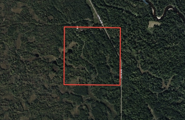 40+/- Acres with Hunting Cabin – Town of Finley, Juneau County