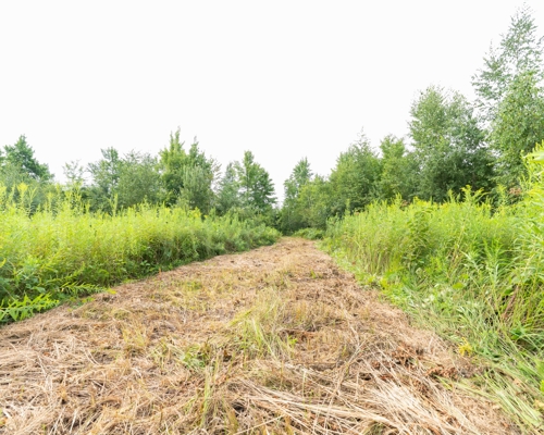 40+/- Acres with Hunting Cabin – Town of Finley, Juneau County