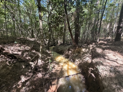 Hunting Land & Timberland Acreage in Atlanta, TX for Sale - image 18