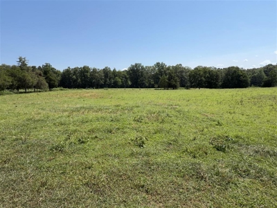 3 bed 1 bath home & 19 acre lot for sale near Roundhill, Ky. - image 17