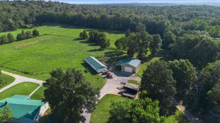 3 bed 1 bath home & 19 acre lot for sale near Roundhill, Ky. - image 39