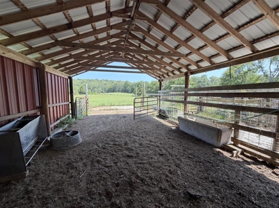 3 bed 1 bath home & 19 acre lot for sale near Roundhill, Ky. - image 12