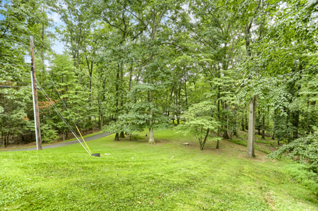 151 Hoffman Road, Elizabethville, PA 17023 - image 5