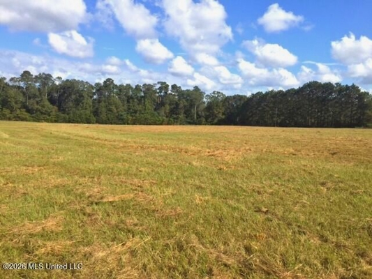 30 Acres for Sale with Public Sewer, Water and Natural Gas