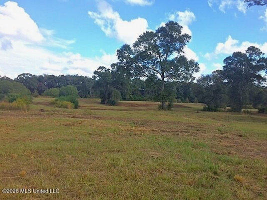 30 Acres for Sale with Public Sewer, Water and Natural Gas